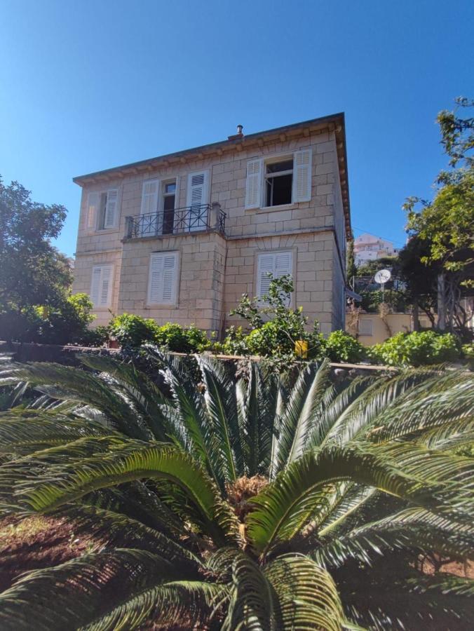 Villa Arancia Dubrovnik Buitenkant foto