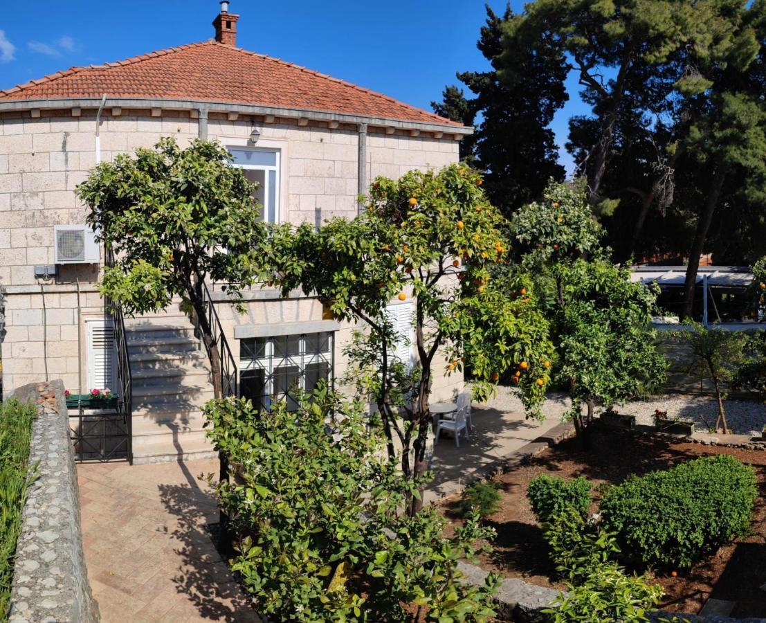Villa Arancia Dubrovnik Buitenkant foto